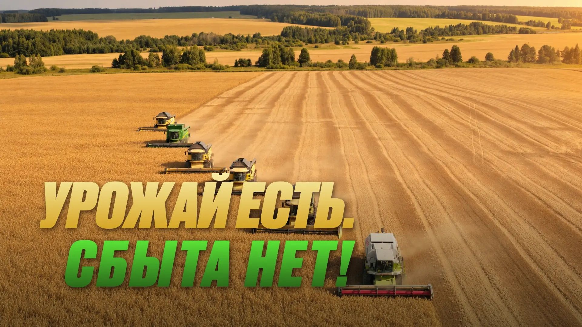 Что делать фермеру, когда зерно не покупают? Станислав Санкеев