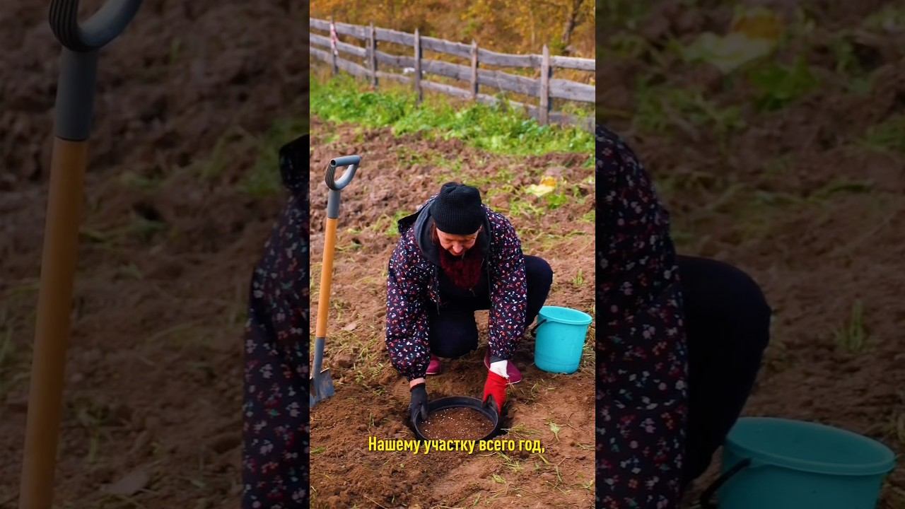 Посадите луковицы этих цветов прямо сейчас и весна в саду будет невероятно яркой!