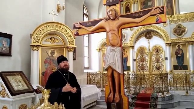 Видеожурнал ВЕРБА