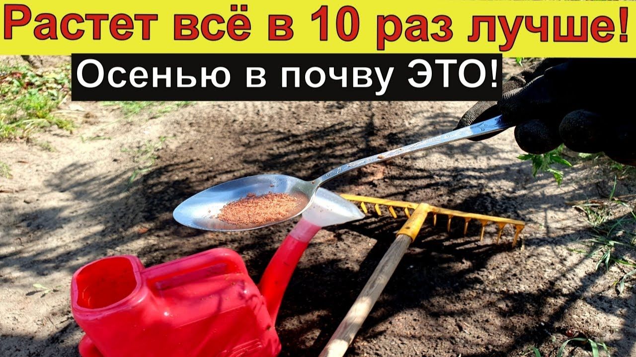 сад и огород