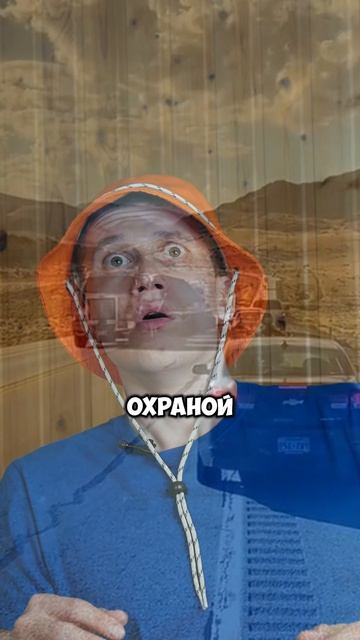 Они что-то скрывают? 🤔