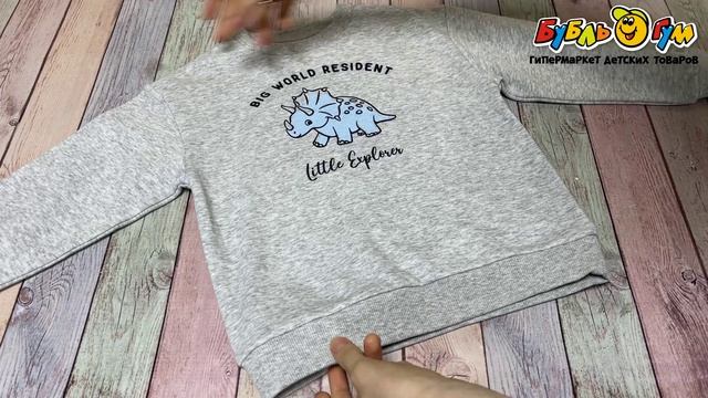 Толстовка Lanson Kids утепленная с круглым вырезом с манжетами на рукавах и нижнему краю с принтом синего динозаврика светло-серый - видео