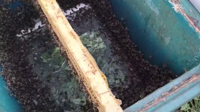 1 октября САМЫЙ НАДЁЖНЫЙ СПОСОБ