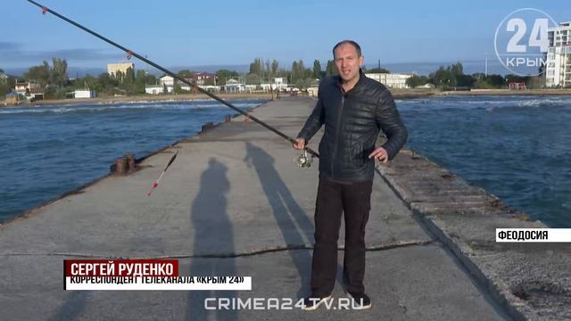 Сезон лова саргана стартовал на востоке Крыма