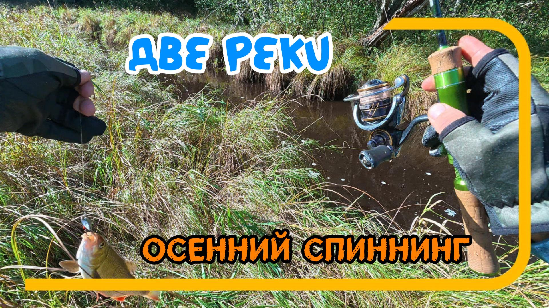 Спиннинг с берега