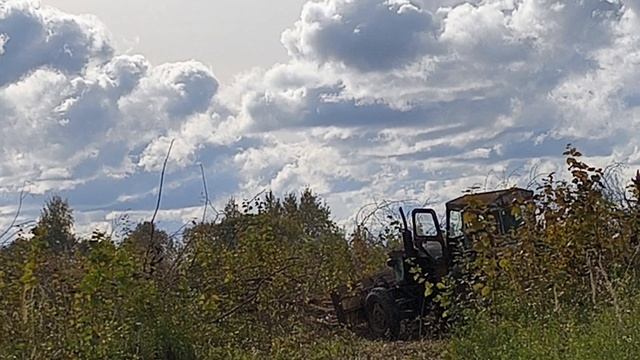 Огородные работы подходят к концу.
Убрали огурцы, помыли теплицу.