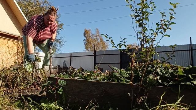 В ОГОРОДЕ С ПОМОЩНИКОМ РАБОТУ ДЕЛАЛИ.