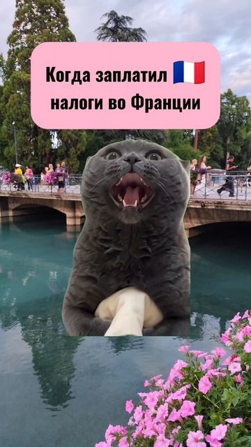 Все короткие видео