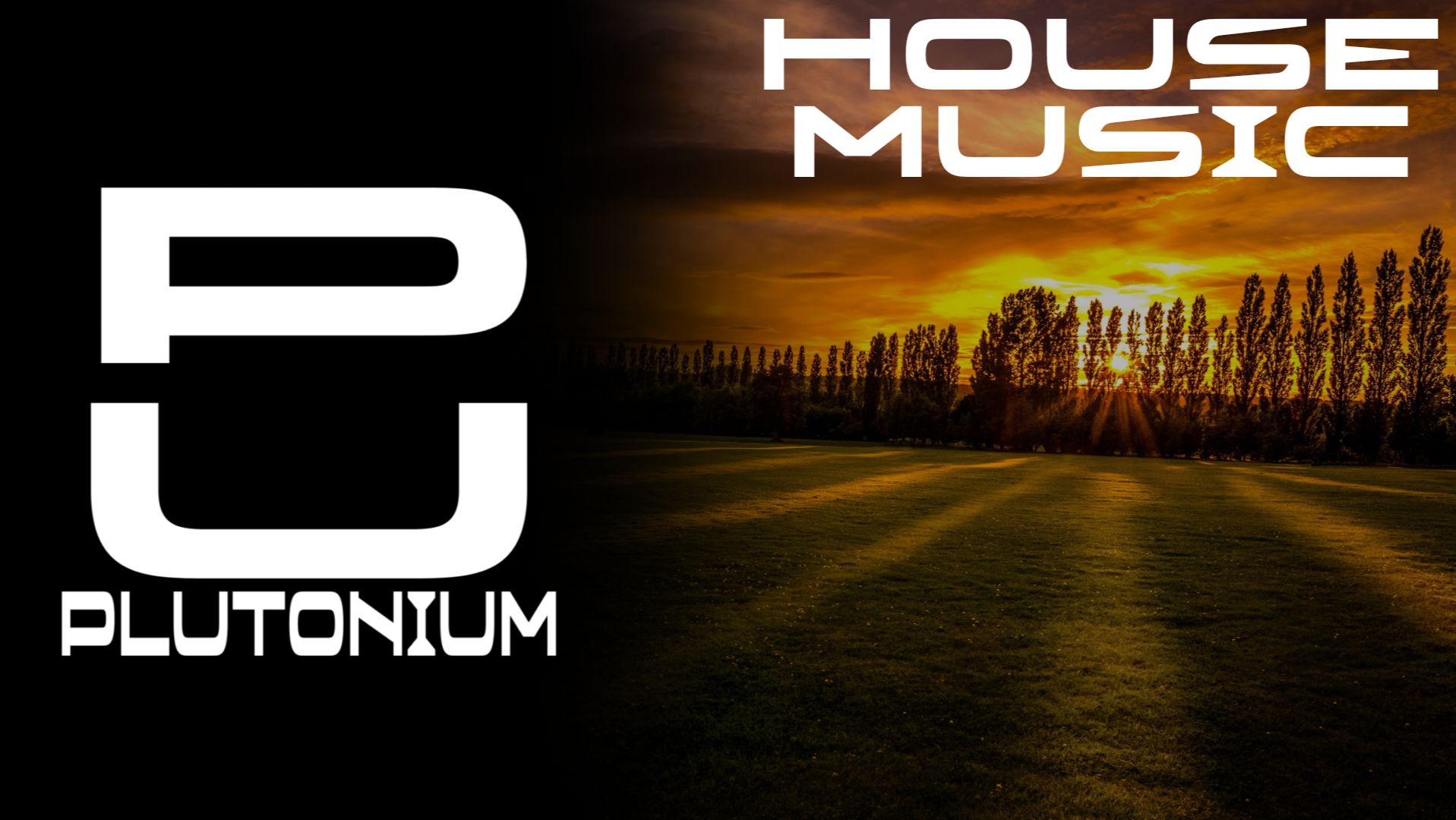 Alan Walker на PlutoniuM