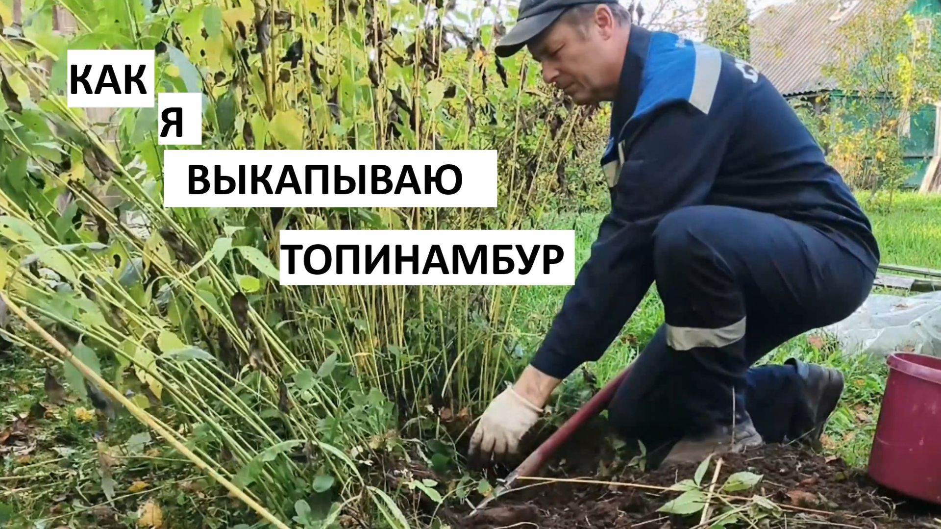 САД И ОГОРОД