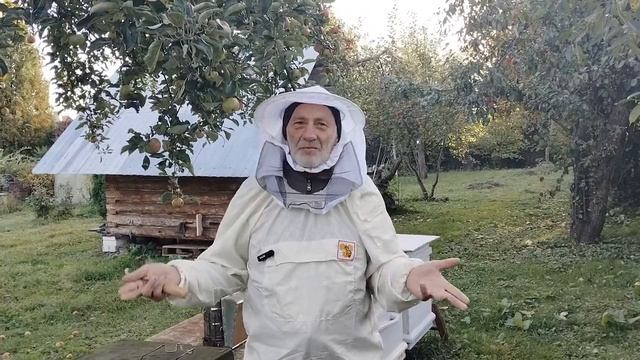 1 октября ЗАМЕНА  НЕПЛОДНОЙ  МАТКИ