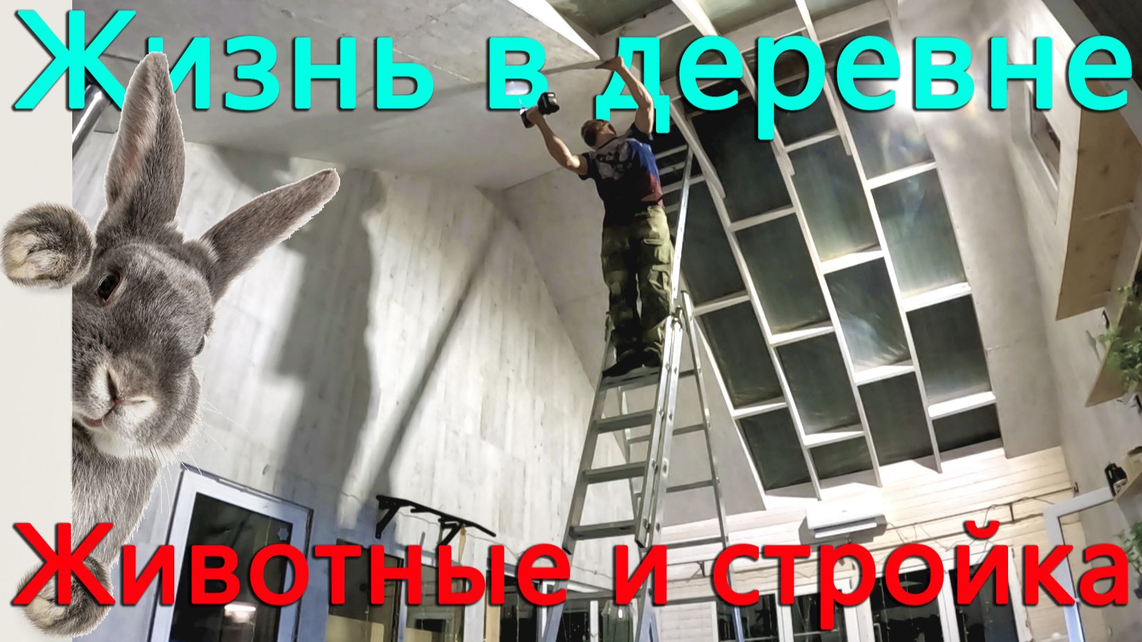 Стройка мега теплицы продолжается. Обеспечил кроликов едой, их становится больше.