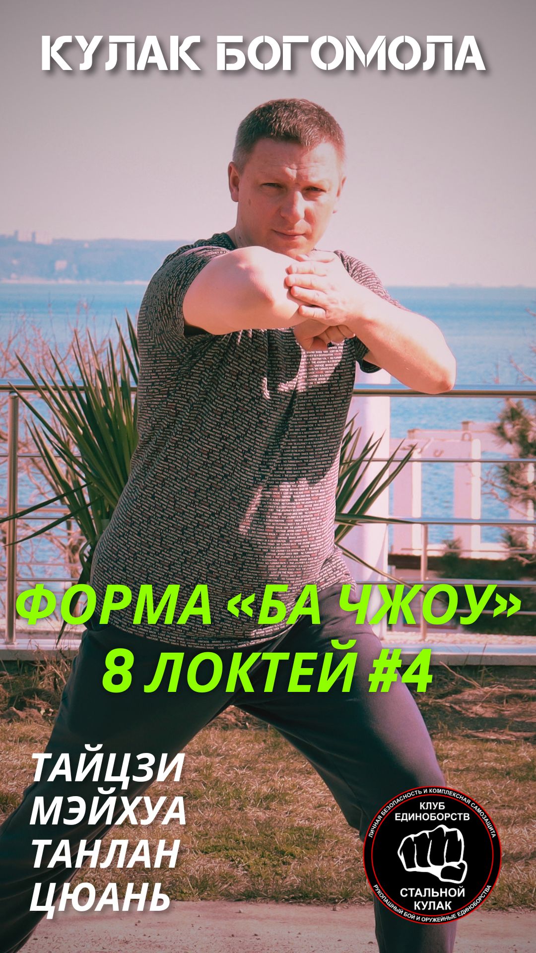 Ушу / кунг-фу/ богомол