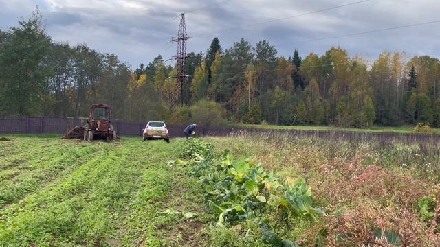 Сад и огород