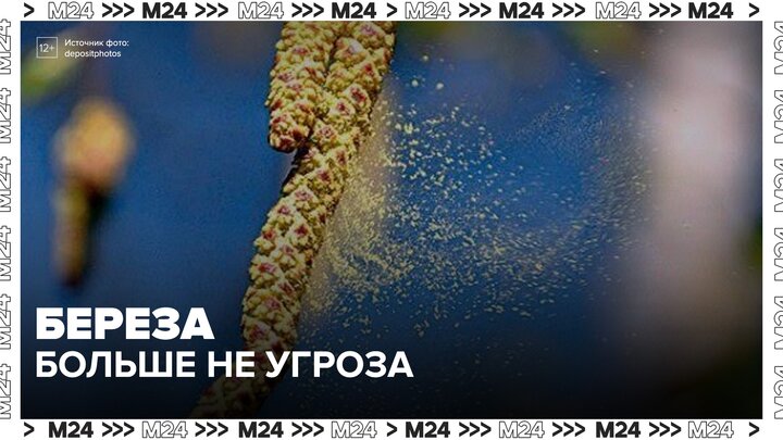 Российскую вакцину "Аллергарда" создали из искусственного белка - Москва 24