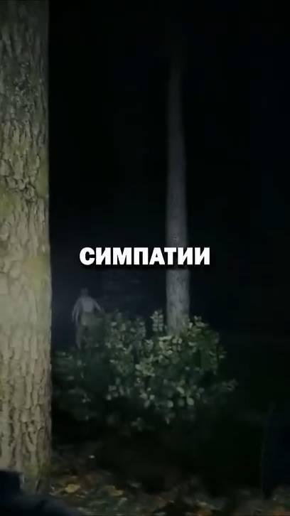 САМЫЙ СТРАННЫЙ NPC 😨 #shorts