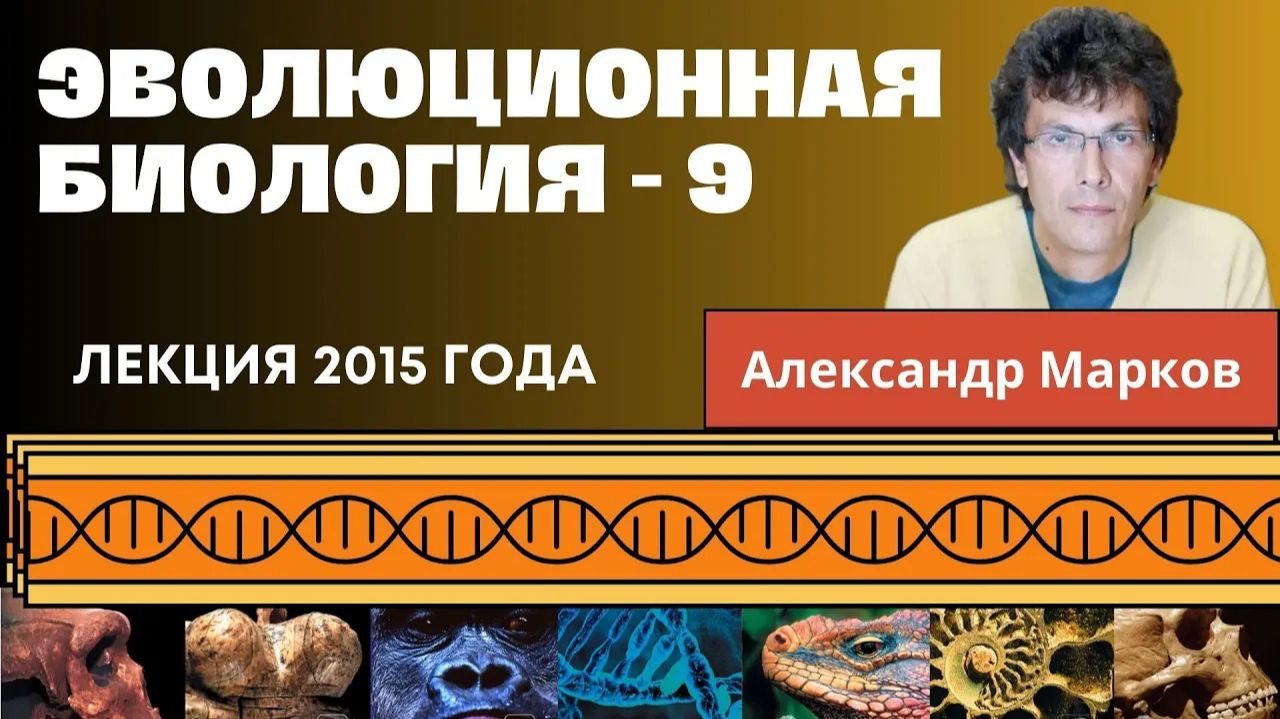 Александр Марков