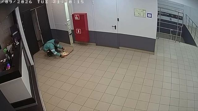 В Москве курьер уронил пиццу на пол, поднял её, засунул обратно в коробку и спокойно отдал клиенту