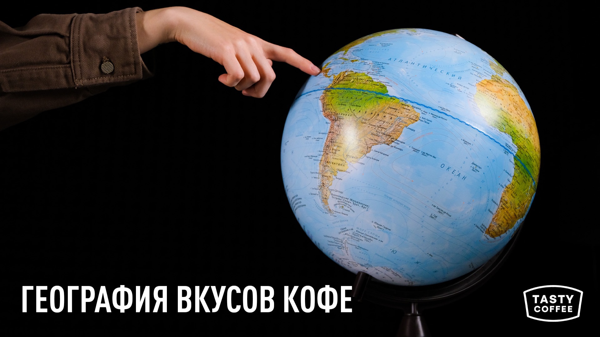 Знания о кофе