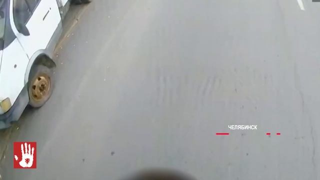 Ежедневные выпуски программы