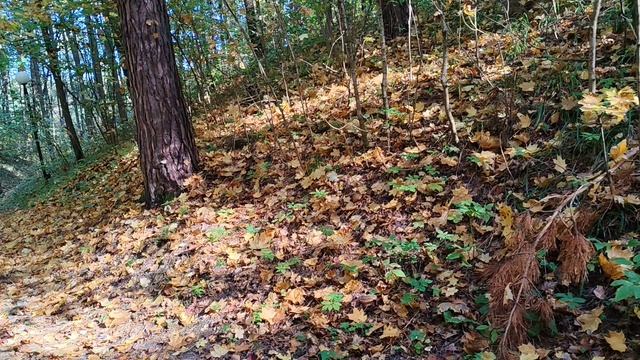 ОТПУСК 🍂 КТО СО МНОЙ ЗА ВОДОЙ? 😊