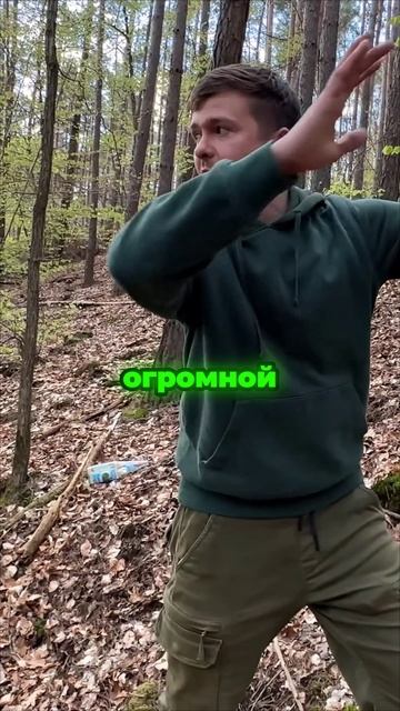 ЭХО ВОЙНЫ_ СМЕРТЕЛЬНЫЕ ЛОВУШКИ ПОД НОГАМИ ☠️