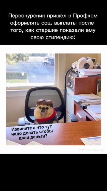МОМЕНТЫ ЛГТУ