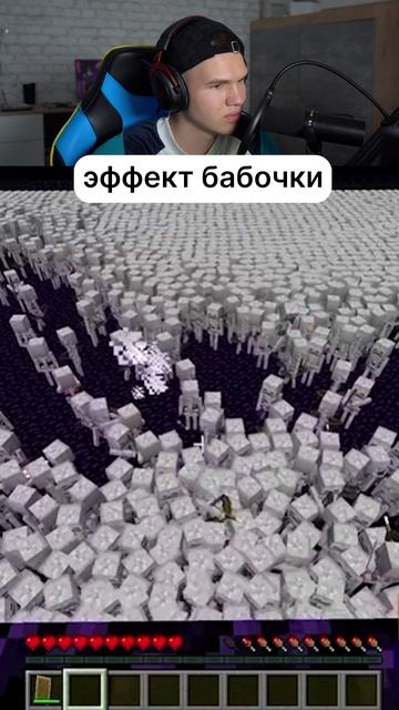 Эффект Бабочки на Скелетах 💀 #shorts #шортс #майнкрафт #minecraft