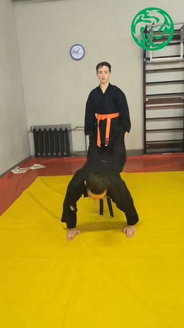 Тренировки по Айкибудо