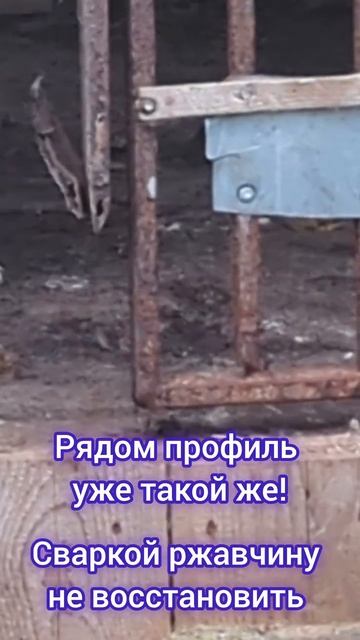 Яживой