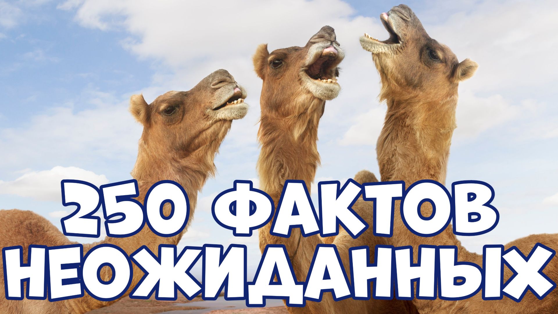 250 НЕОЖИДАННЫХ ФАКТОВ, КОТОРЫЕ РАССКАЖУТ О МИРЕ