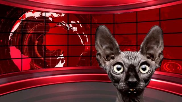 Итоги недели с Котом Костяном (You Tube)