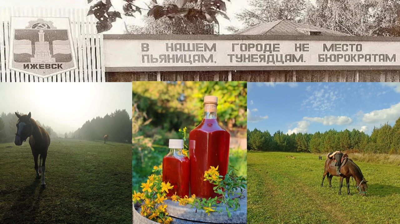 Земледелие значить множить жизнь