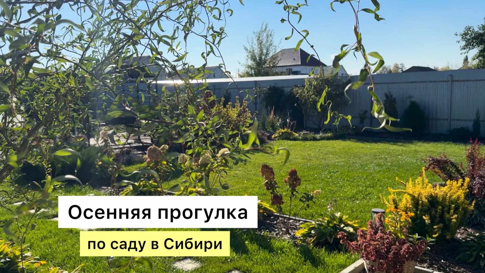 Как подросли растения за один сезон! 👌