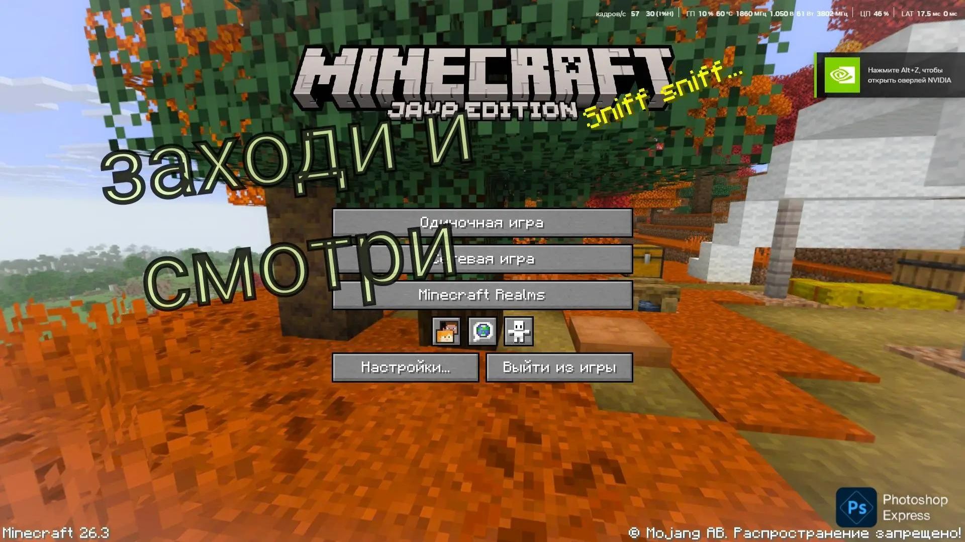 майн