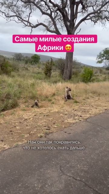 ЮАР