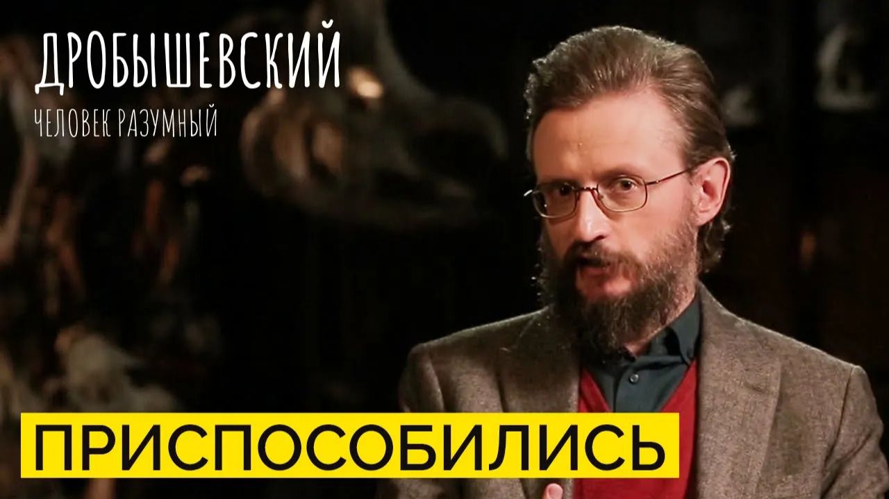 Дробышевский. Человек разумный