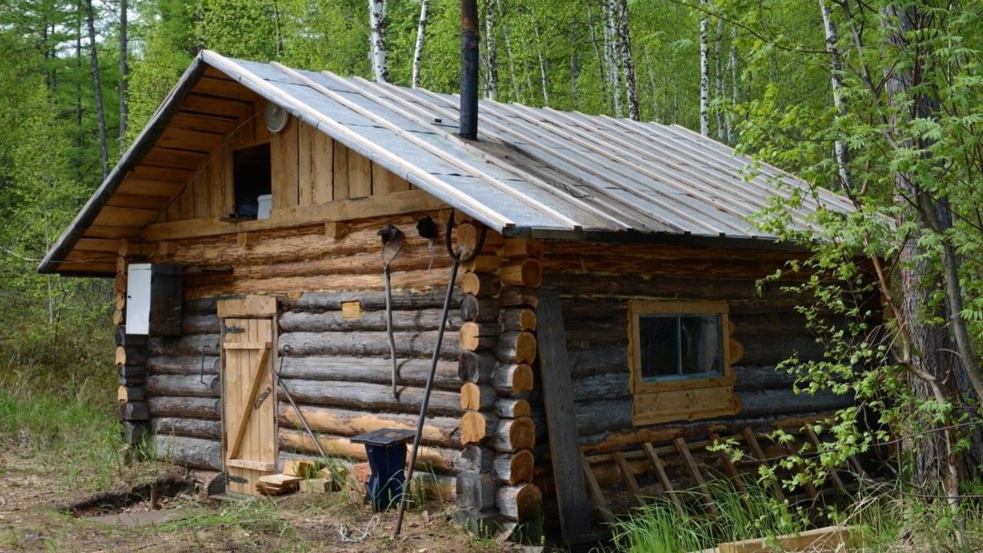 Мистические истории про лес