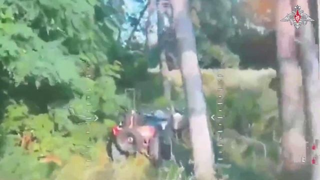 Подразделения группировки войск «Север» взяли под контроль населенный пункт Малая Рыбица