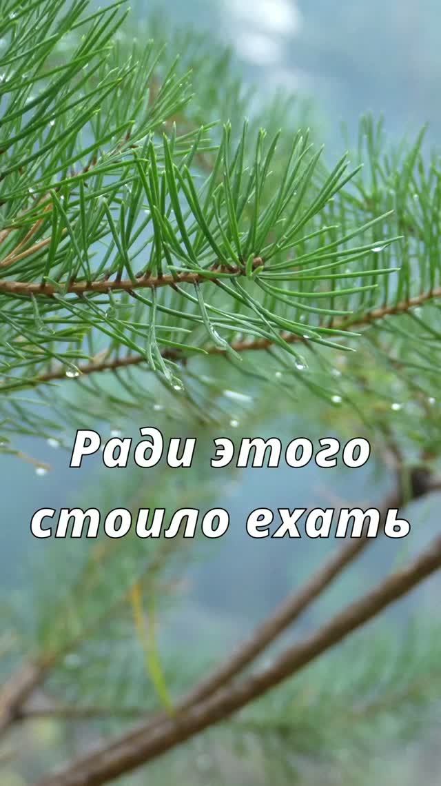 ОХОТА НА РЯБЧИКА