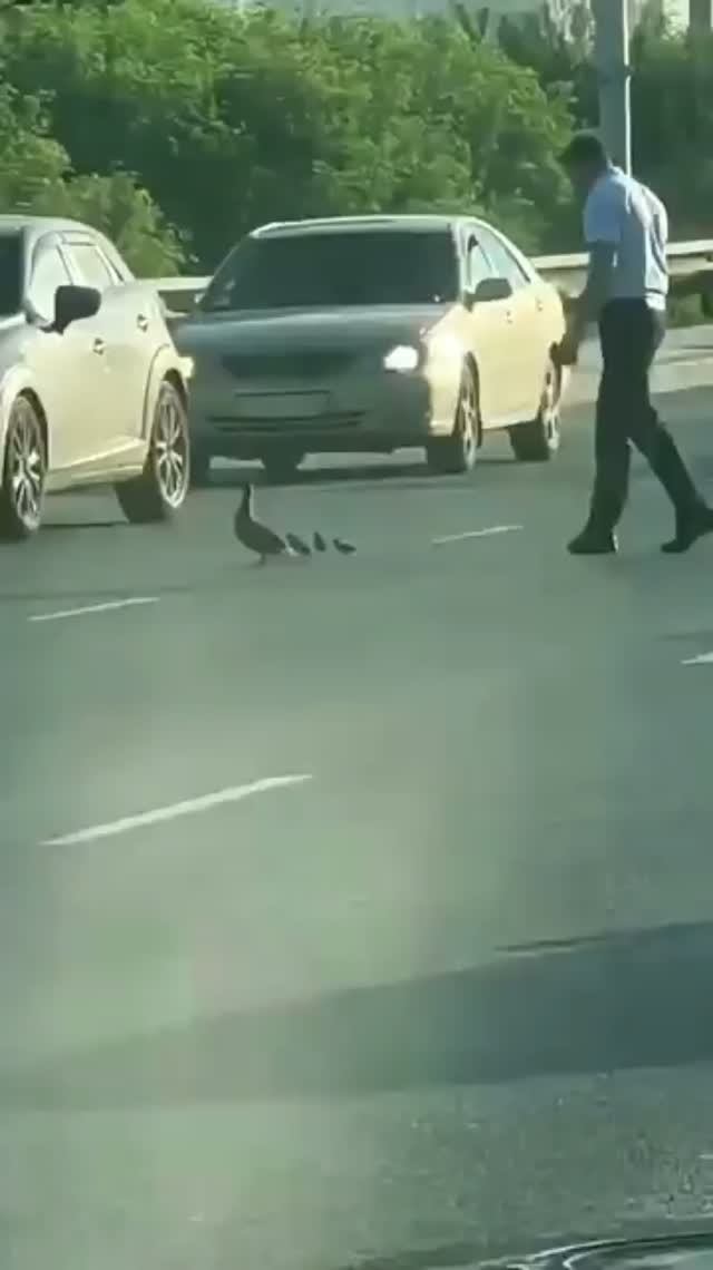 Помогайте друг другу