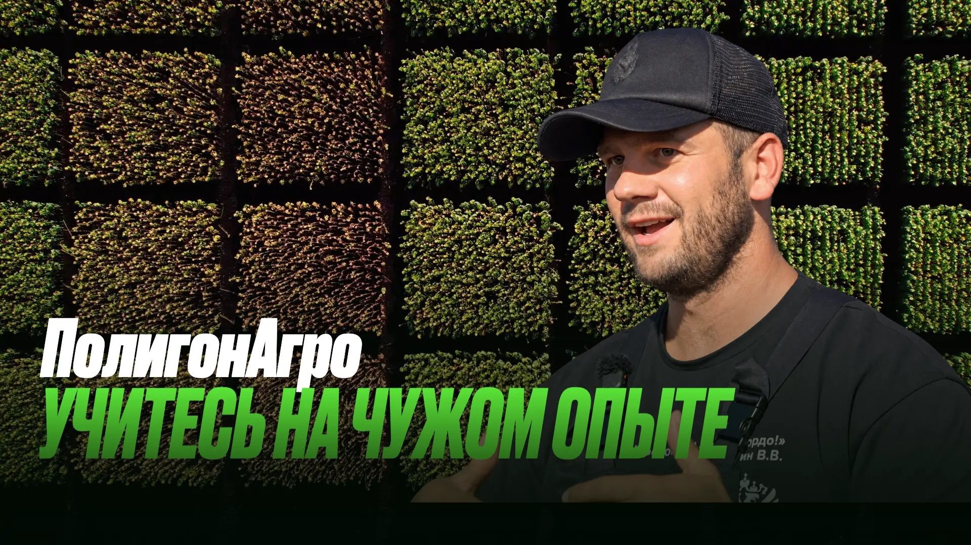 Одна технология — разный результат. Как выбрать гибрид подсолнечника?