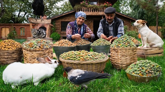 Сбор урожая и выпечка со свежим миндалем: деревенская традиция