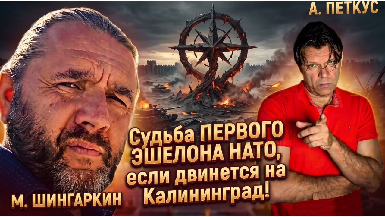 М. Шингаркин: Европа кормится своими трупами. В.В. Путин предложил ОДУМАТЬСЯ!
