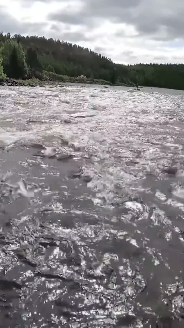 НЕРЕАЛЬНЫЙ КЛЁВ