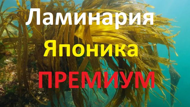 Переписать Школа с Татьяной Стародубцевой Компания NEWECS 2026-10-02
