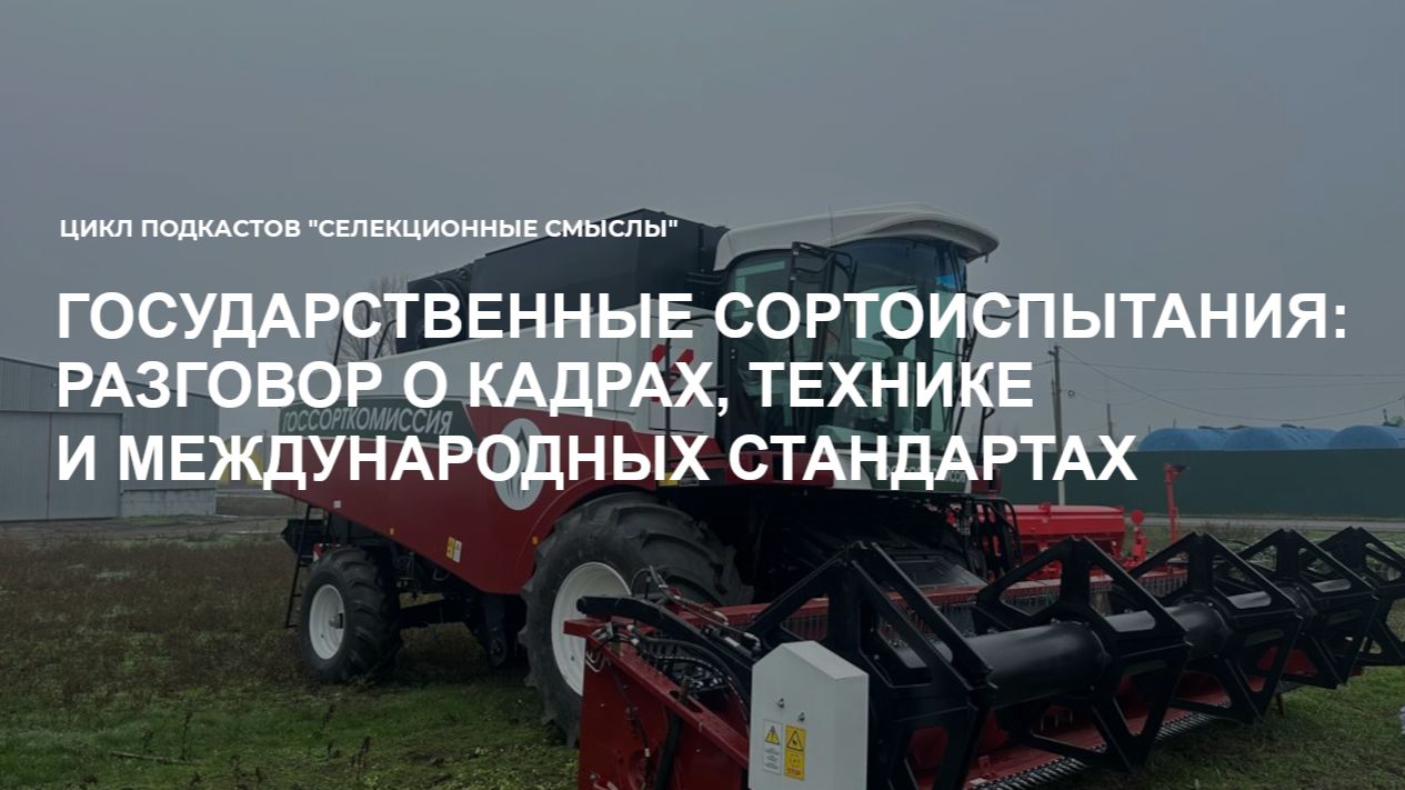 Селекционные смыслы