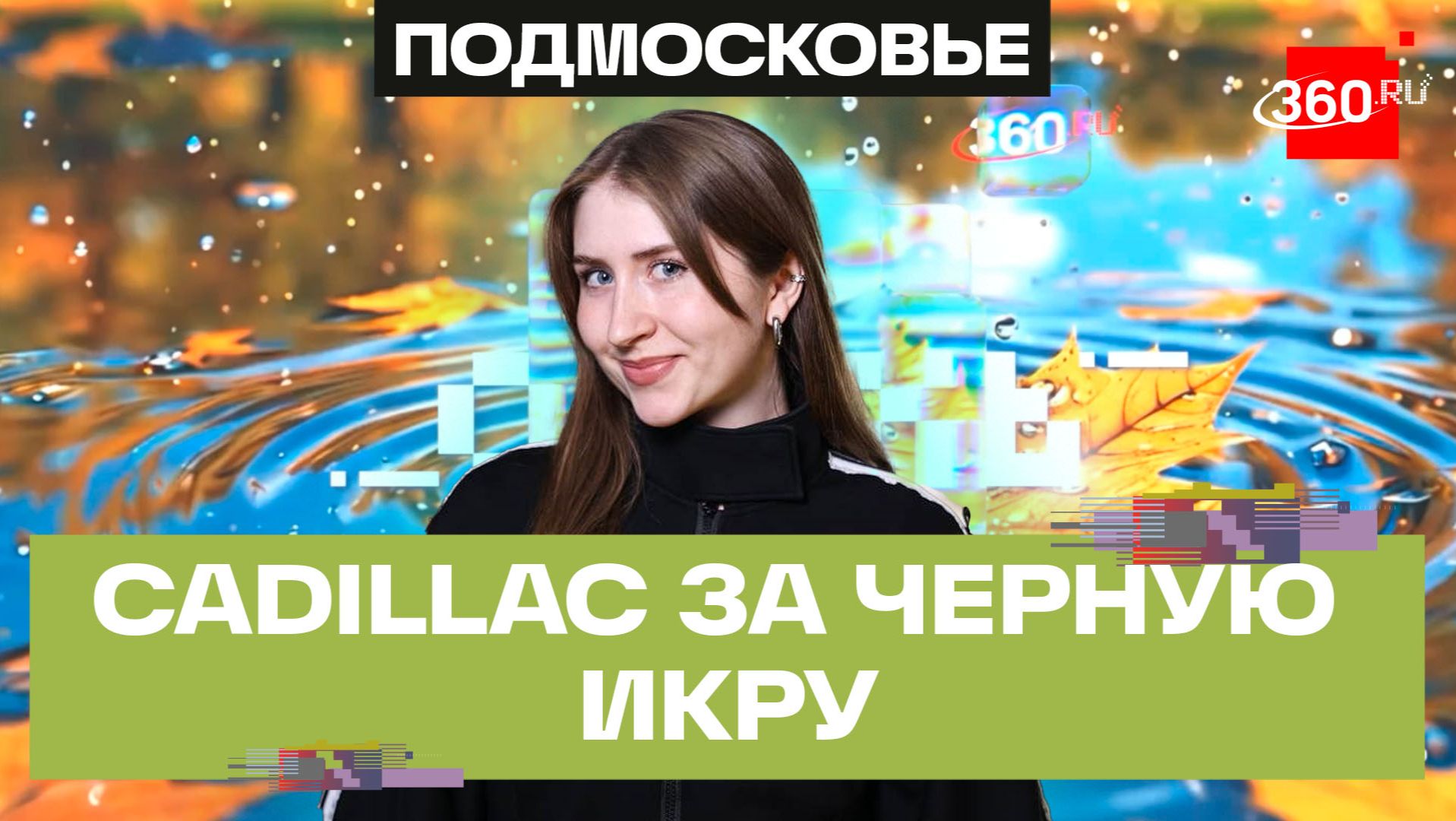 Маршрут по Можайскому округу: другое Бородино, ретрогараж с машиной Василия Сталина и сыр