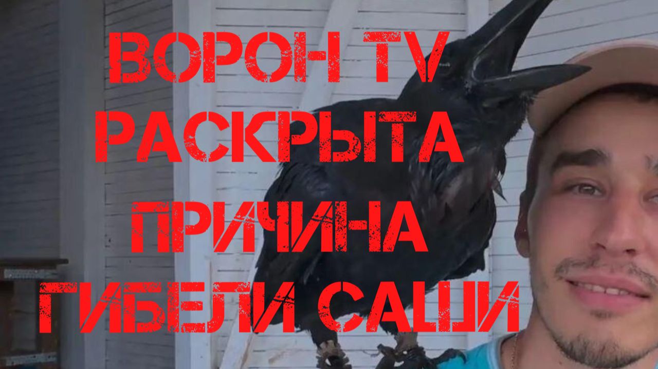 Трагические истории