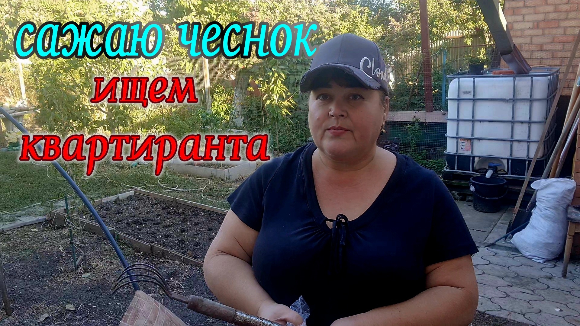 Ейск🌹Не рановато ли? Сажаю зимний чеснок. Ищем квартиранта. Молодая в 95😁